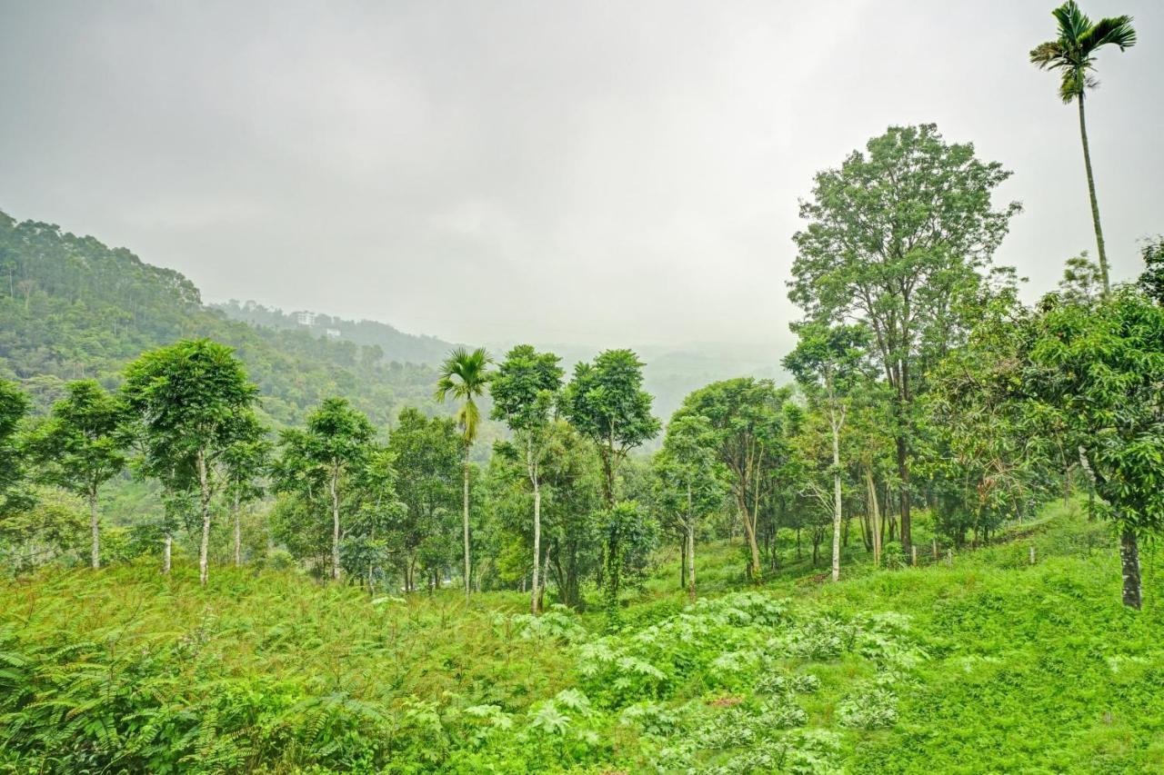Oyo Flagship 81260 Star Lights Ξενοδοχείο Munnar Εξωτερικό φωτογραφία